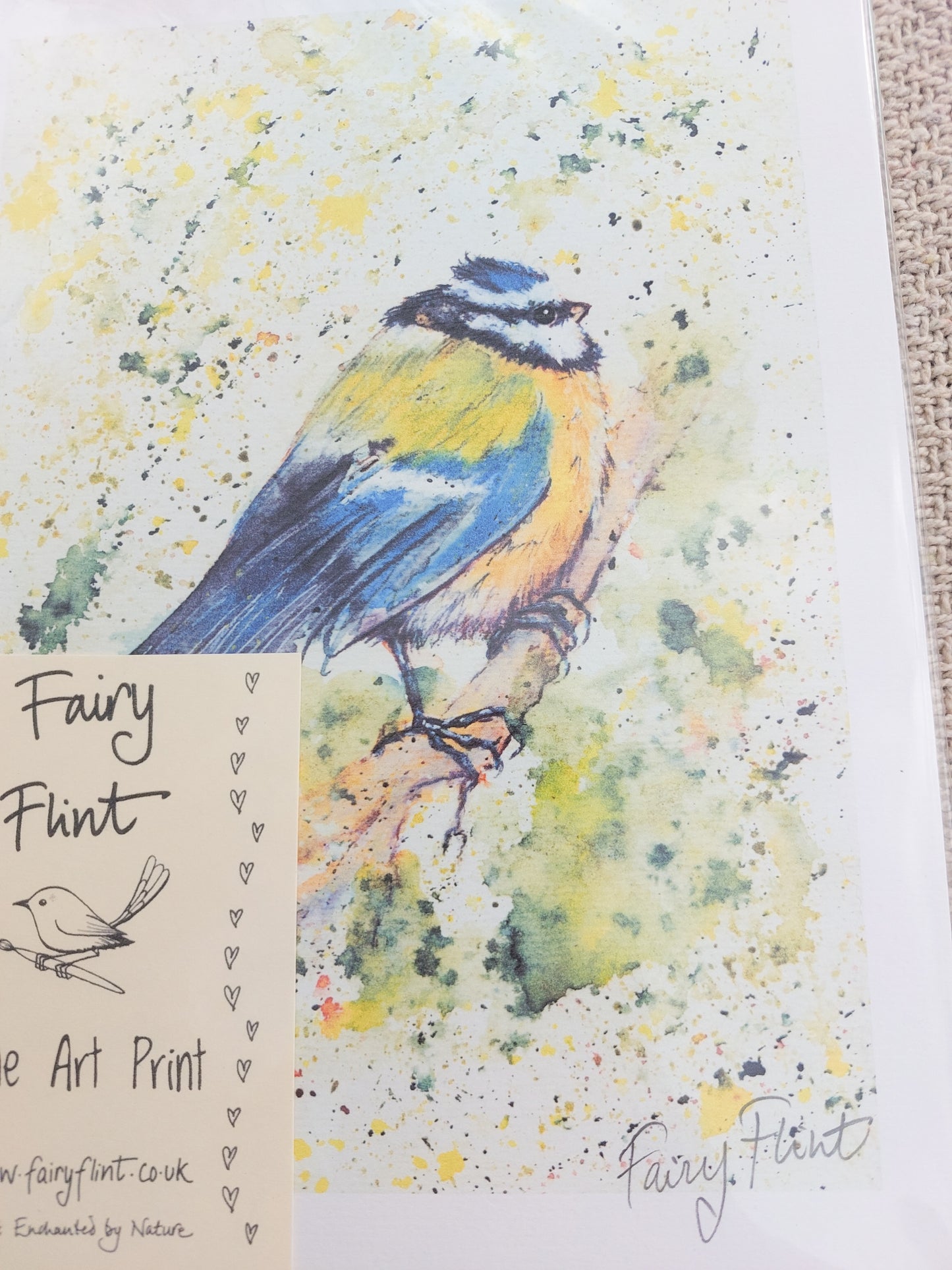 Blue tit print by Fairy Flint 