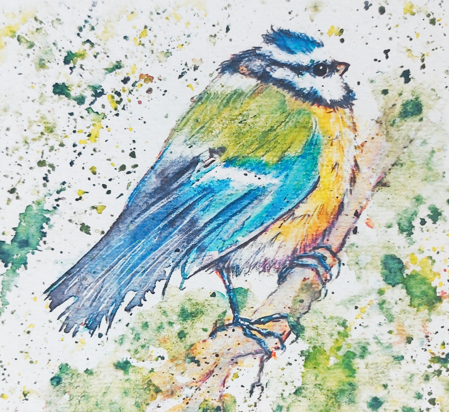 Blue tit - Adorable Tiny Bird on a Branch - Small Signed Art Print