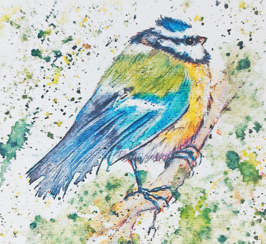 Blue tit - Adorable Tiny Bird on a Branch - Small Signed Art Print