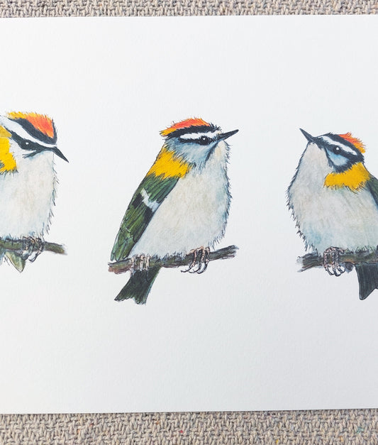 Print of trio of Firecrests by Fairy Flint