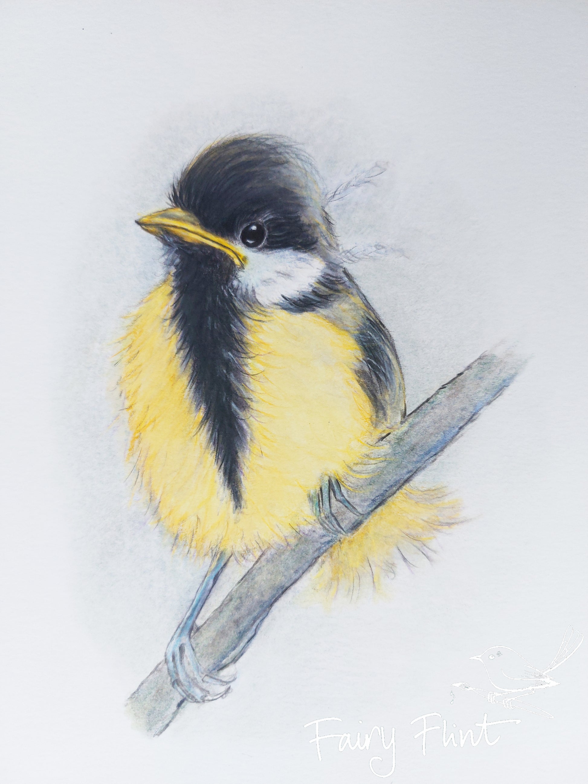 Pastel of great tit by Fairy Flint 