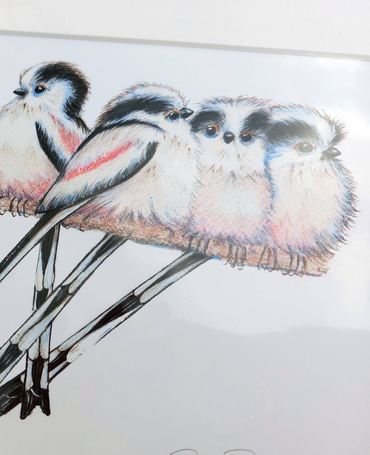 Long-tailed tits ~ Signed Art Print ~ Mounted