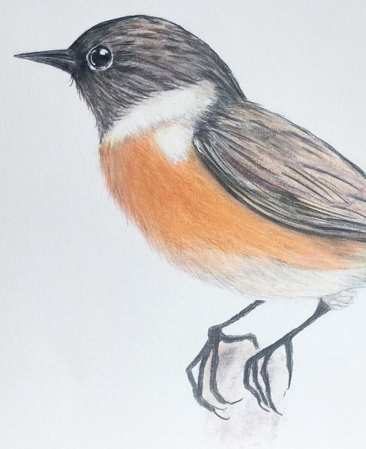 Stonechat painting by Fairy Flint 