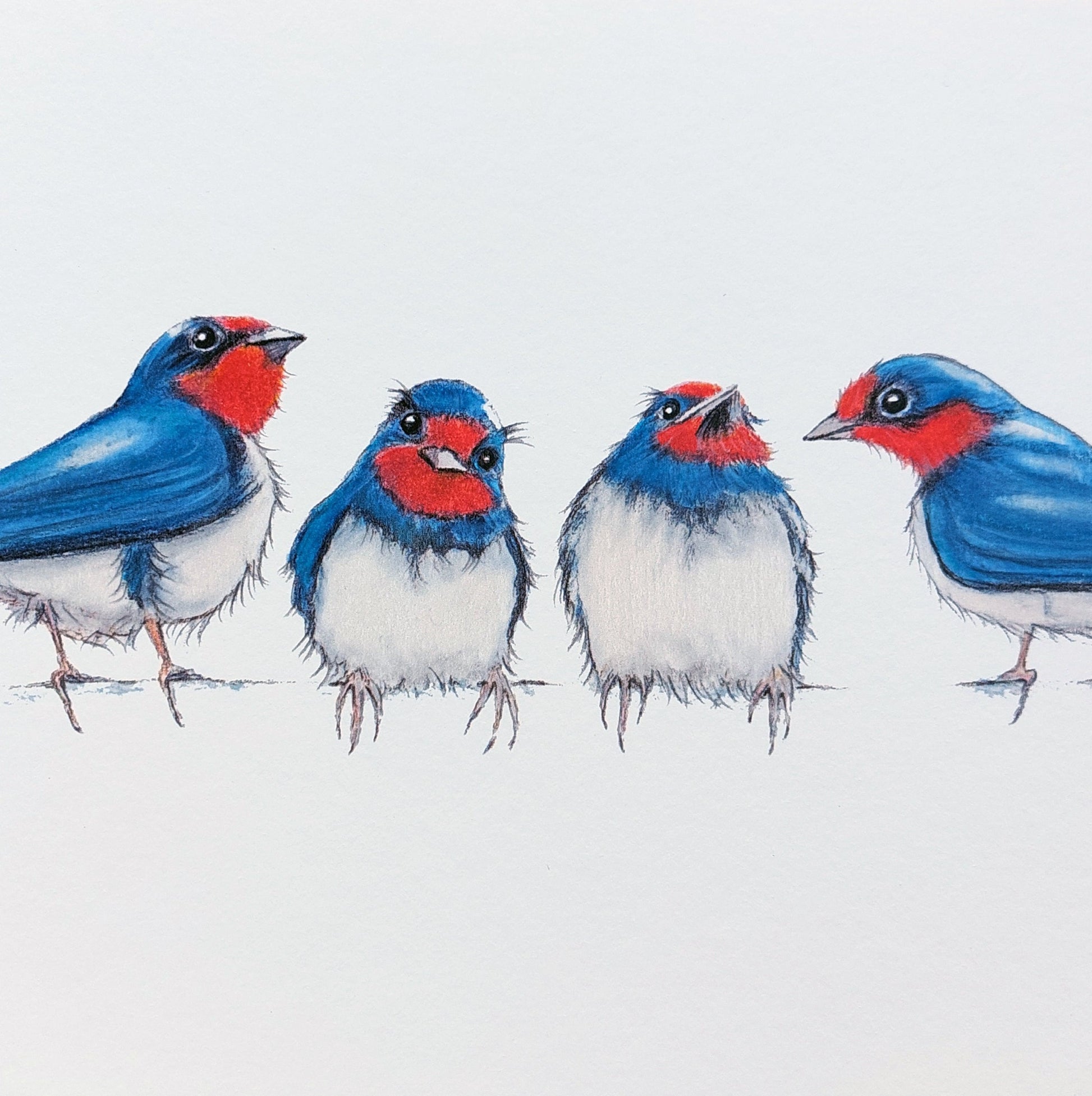 Print of original painting of a Quartet of young swallows by Fairy Flint 