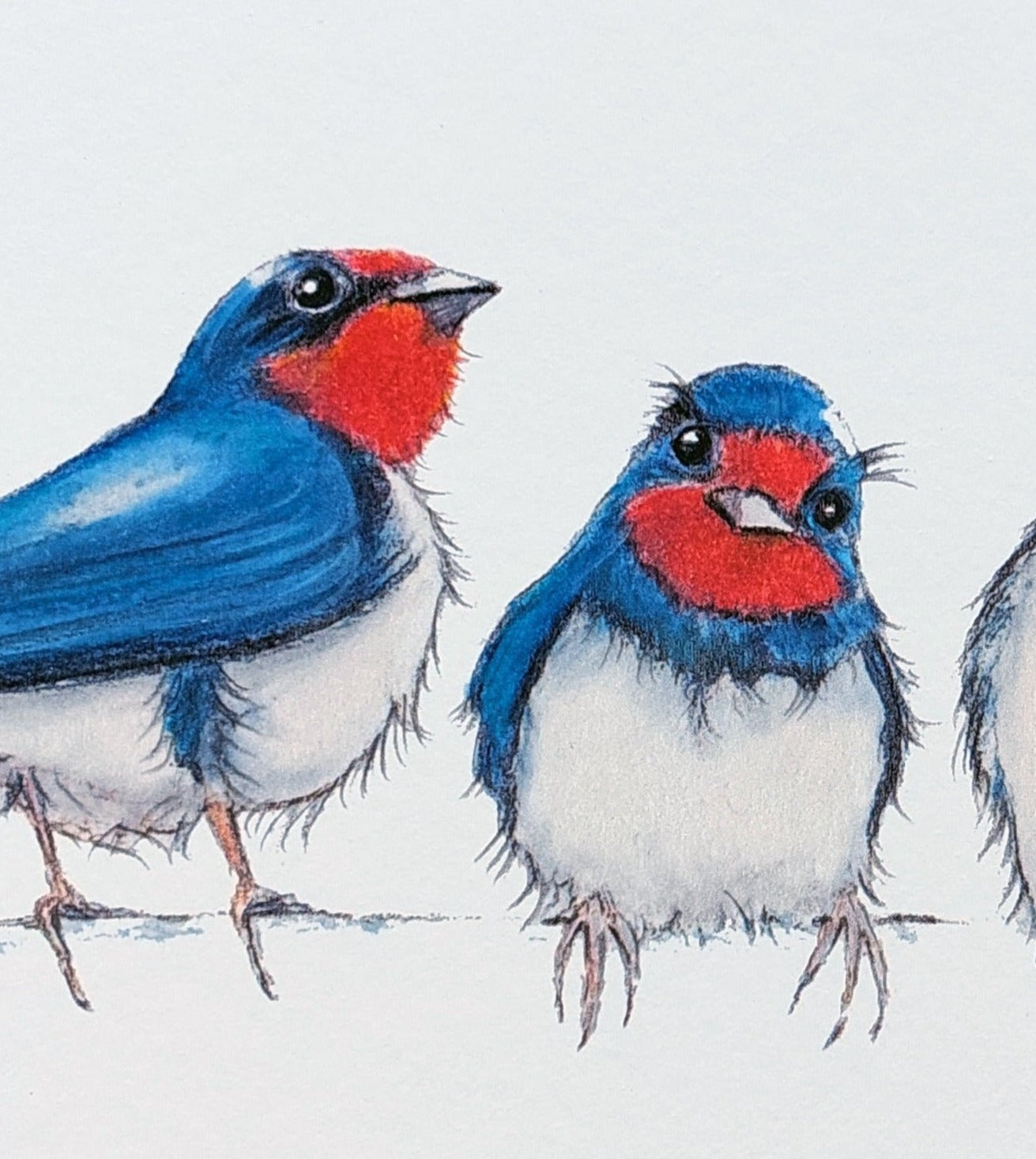 Detail of painting of 4 swallows by Fairy Flint 